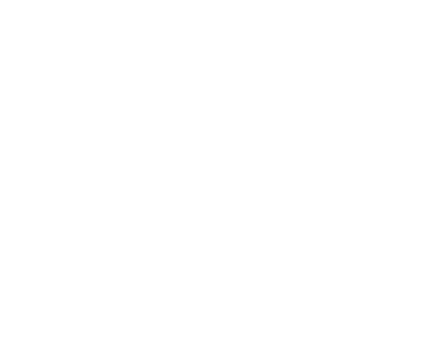 Green Boost logo