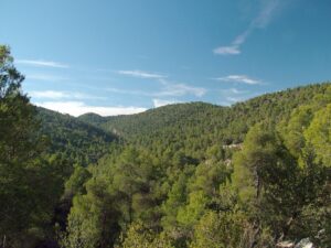 Laderas cubiertas de pinar en la sierra de Burete, en el Noroeste de la Región de Murcia, bajo un cielo despejado