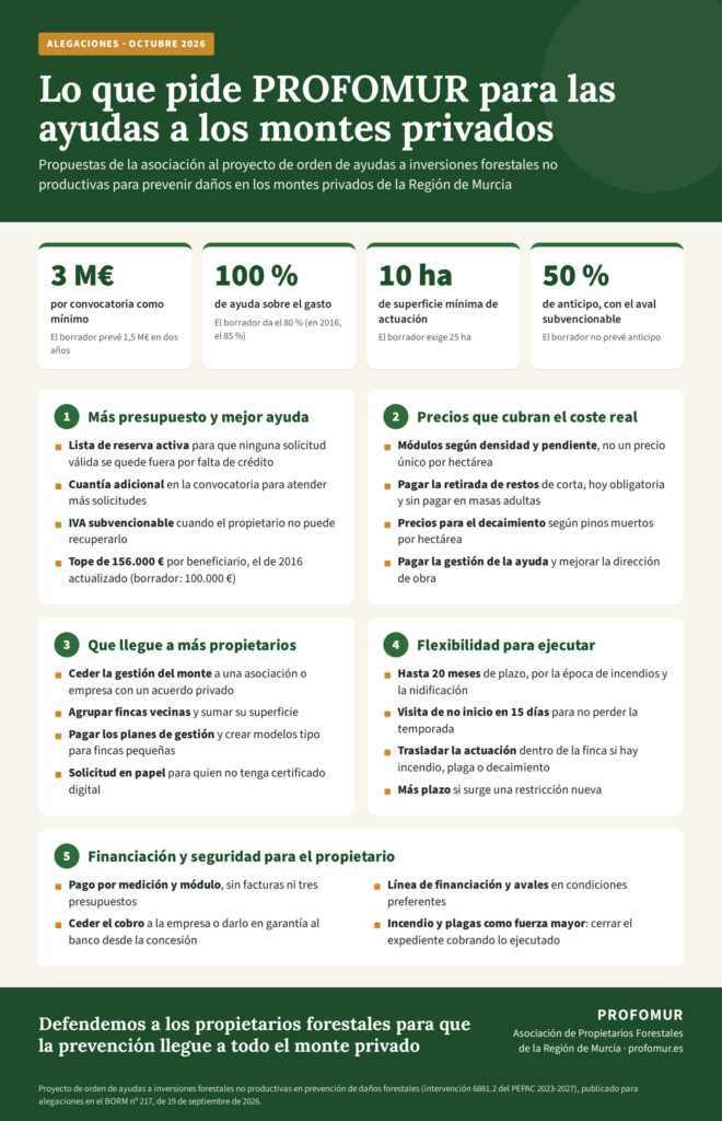 Infografía con las principales propuestas de PROFOMUR al proyecto de orden de ayudas a los montes privados: al menos 3 millones de euros por convocatoria, ayuda del 100 %, superficie mínima de 10 hectáreas y anticipo del 50 %, en cinco bloques: presupuesto, precios, acceso de más propietarios, flexibilidad y financiación